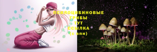 прущий лед Арсеньев