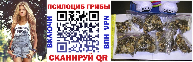 где можно купить   Скопин  маркетплейс официальный сайт  Псилоцибиновые грибы прущие грибы  OMG как войти 